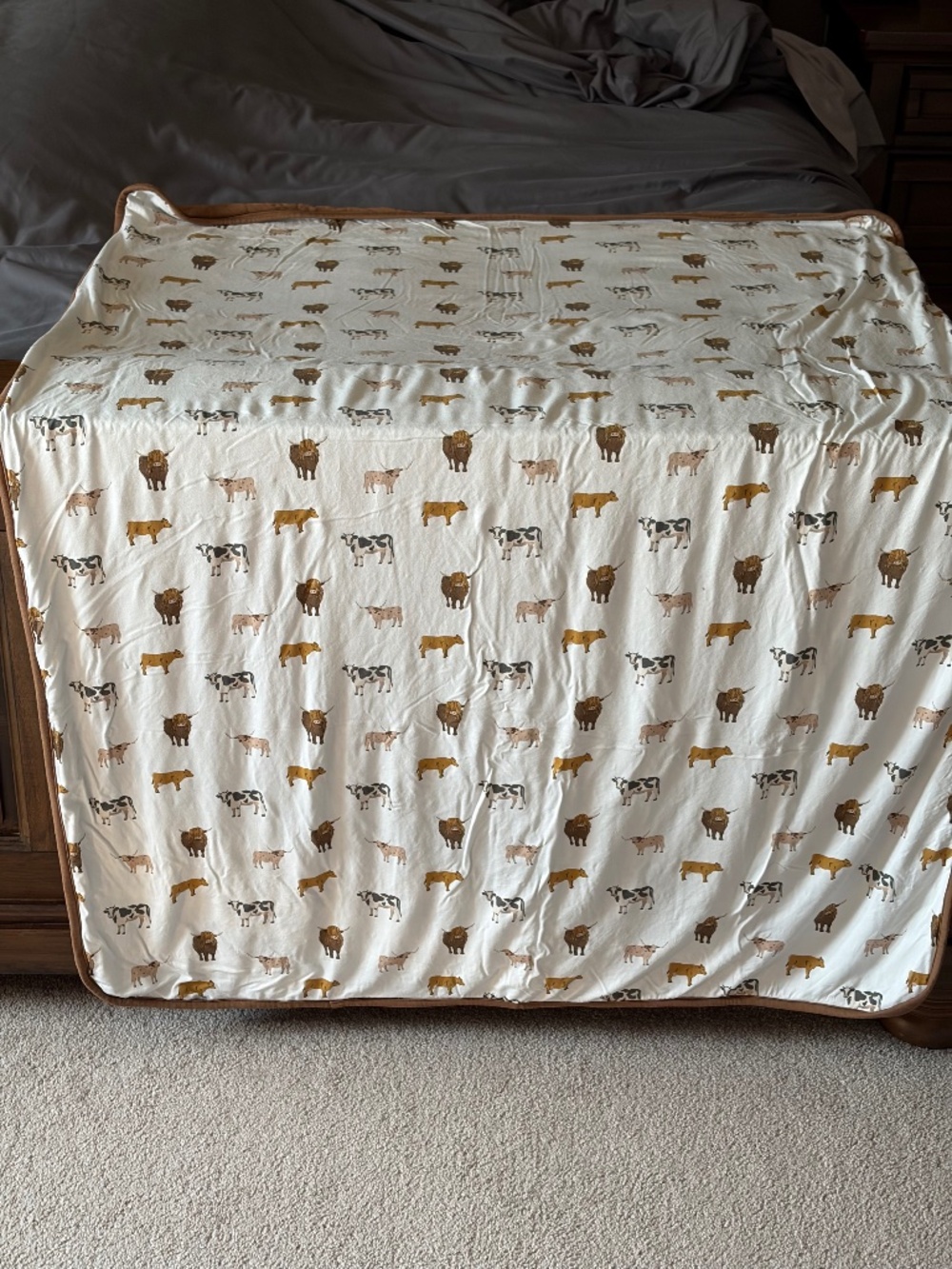 Kyte baby blanket